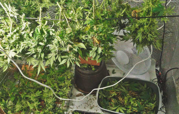 A diagram explaining the importance of airflow in a grow tent